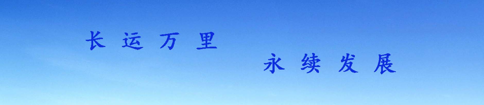 公司荣誉